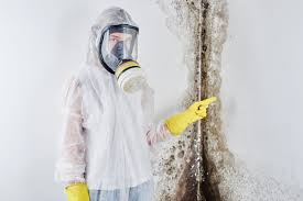 Best Comprehensive Air Testing for Mold Contaminants in Corpus Christi, TX